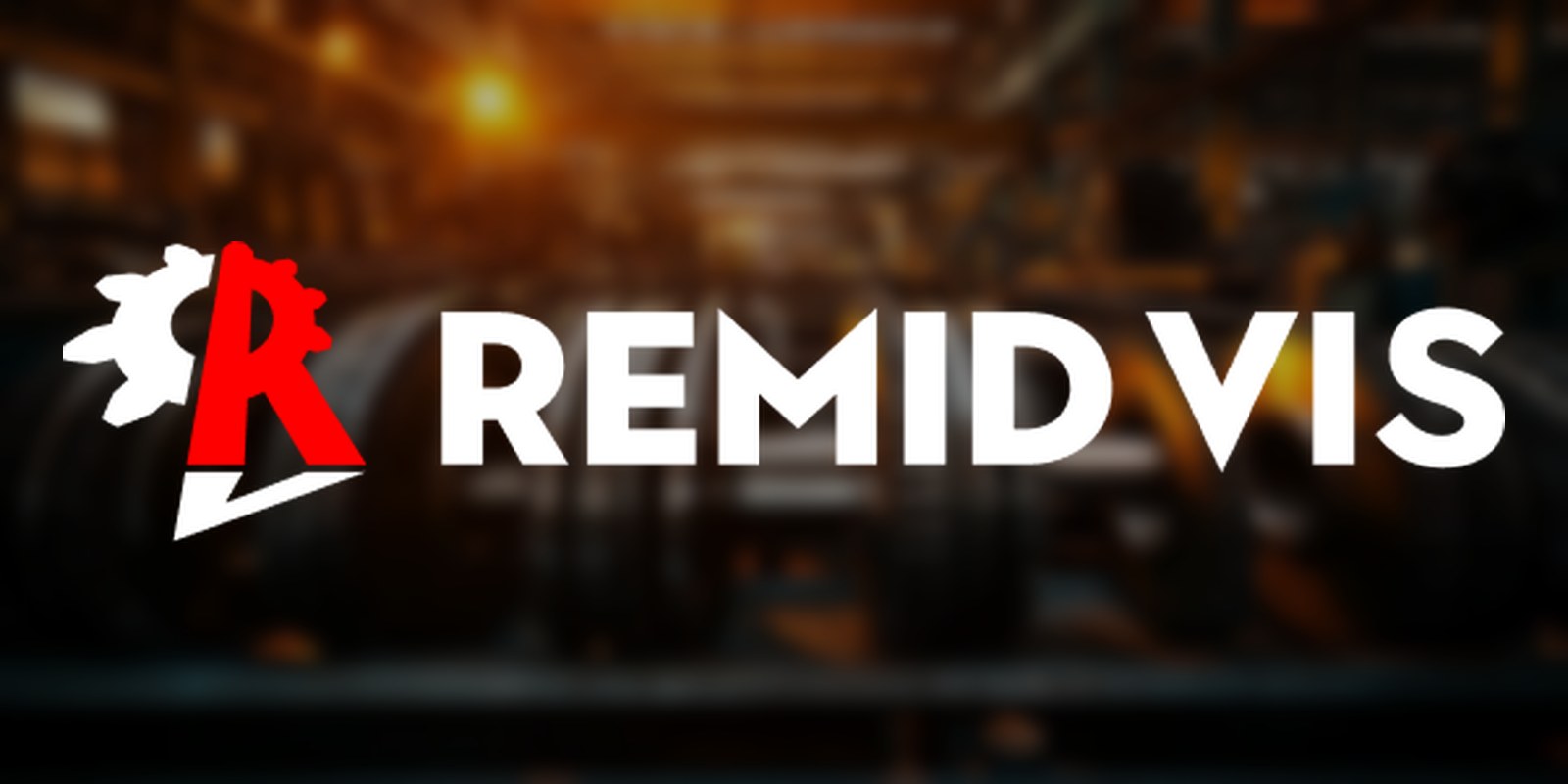 Remid Vis